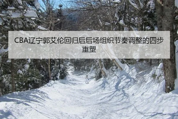 CBA辽宁郭艾伦回归后后场组织节奏调整的四步重塑